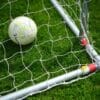 Soccer ball in a goal net on grass