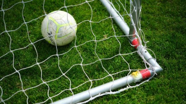 Soccer ball in a goal net on grass